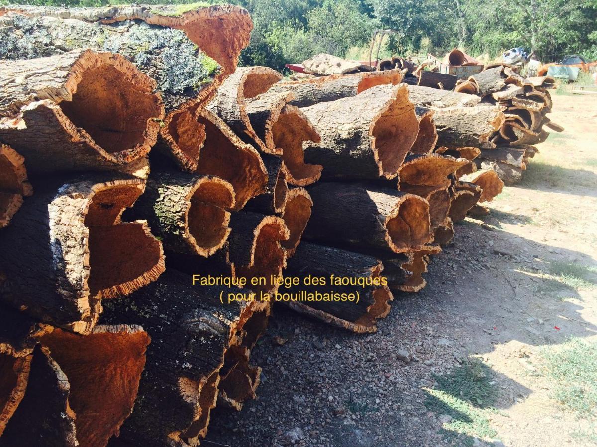 Villa Lou Gecko Hyeres Bagian luar foto